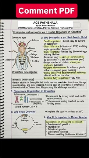 Drosophila melanogaster as Model Organism | CSIR NET Genetics #cuetpg #biology #gatexl