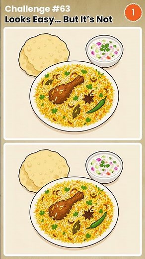 Looks Easy… But It’s Hard - Find 3 Differences | Challenge #63 - Biriyani with pappadam and raita