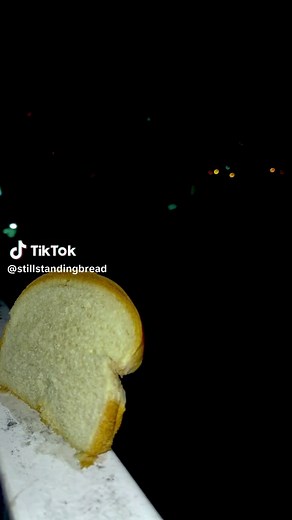 Exploring the Bread Meme and Its Impact on Popular Culture