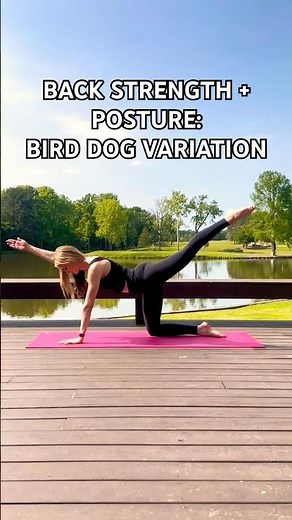 Bird Dog Lifts | Posterior Chain Strength & Better Posture