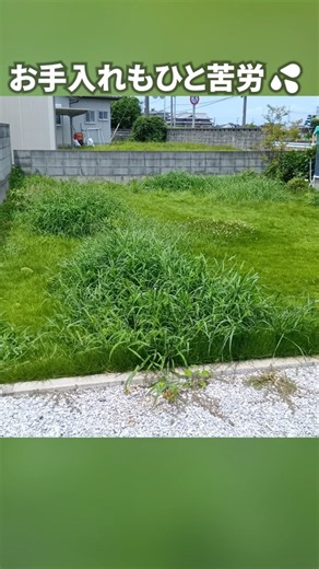 Is your lawn overrun with weeds? #FukayaCity #Handyman #LawnMowing