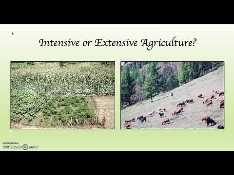 G102 Intensive vs Extensive Agriculture