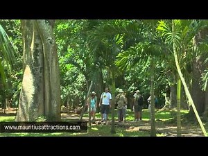 Pamplemousse Botanical Garden - Jardin de Pamplemousse (Mauritius – Ile Maurice)