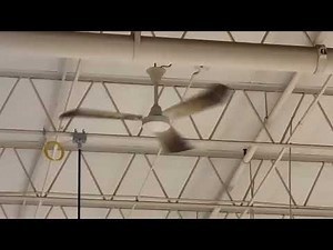 Industrial/Commercial Ceiling Fans in a grocery store feat. Stewart McMullett