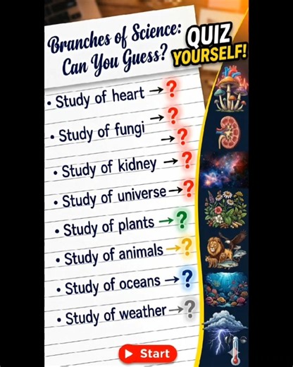 Discover the amazing branches of science, from eyes and bones to cells, birds, and the universe!