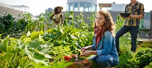 How to Organize a Community Garden | DoItYourself.com