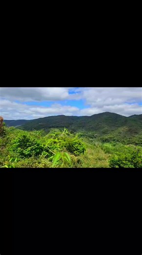 O verde das montanhas transmite paz e serenidade. Cada tom reflete a força da natureza em harmonia. As árvores cobrem os vales como um manto vivo. O vento sopra entre as folhas trazendo frescor. O olhar se perde no infinito das paisagens verdes. O coração encontra descanso nesse cenário natural. As montanhas revelam vida em cada detalhe oculto. O verde simboliza esperança e renovação constante. A beleza das alturas desperta inspiração profunda. No silêncio verdejante, a alma encontra equilíbrio.