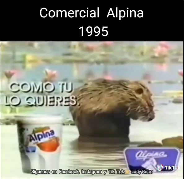 Comercial Alpina (1995) @Alpina 🐮 #alpina #ladyretro_ #nostalgia #retro #viral #tvcolombiana #90stv #comercialretro #Comercialescolombianos