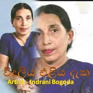 Viduliya eliya daka | විදුලිය එළිය දැක | Smule