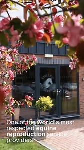 2.9K views · 25 reactions | Stallion AI Services on Reels | Facebook