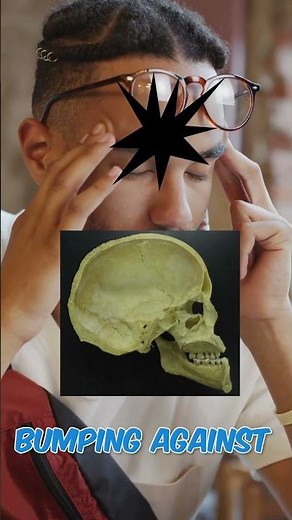 The Brain’s Shield 🛡️! #physiology #facts #didyouknow #science