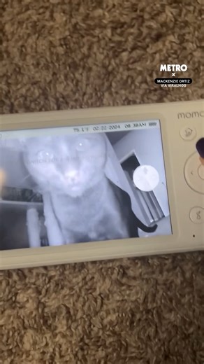 They're always watching you | Metro