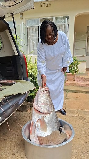 Victoria Nile Perch | Elijah Omondi Raila