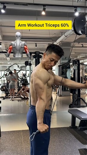 Train Your Arms Like a Pro 🔥 Maximum Muscle Growth #tricepsworkout #viralfeed #theGymsm