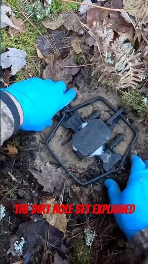 Dirt hole set explained! #trapping #coyotetrapping