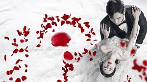 Vengeance of the Bride