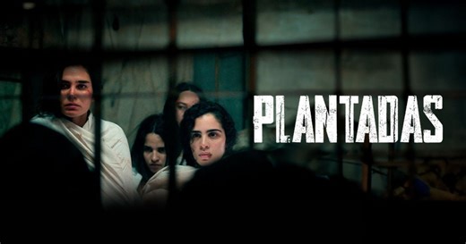 Movie "Plantadas": available on VIX and accessible from Cuba via VPN