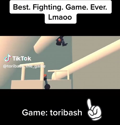 Epic Toribash Fighting Game Highlights