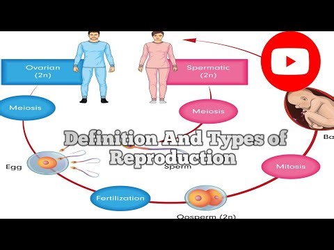 Basics of reproduction