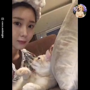 6.9M views · 208K reactions | When the cats say I Love You!藍 | Pets Life | Facebook