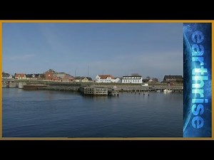 Tiger turf wars in Bangladesh's Sundarbans - earthrise