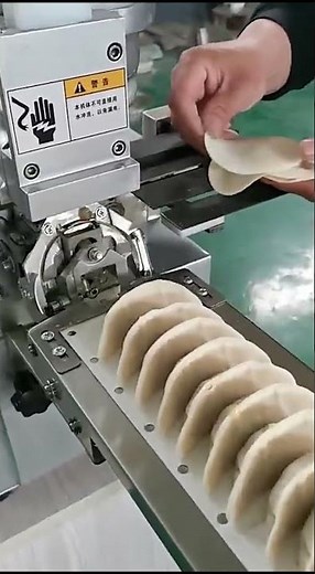 How to Steam Perfect Gyoza: Commercial Japanese Dumpling Steamer Machine in Action!