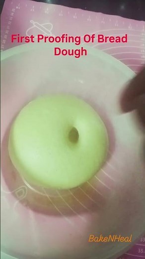 First proofing of bread dough | Poke Test | BakeNHeal
