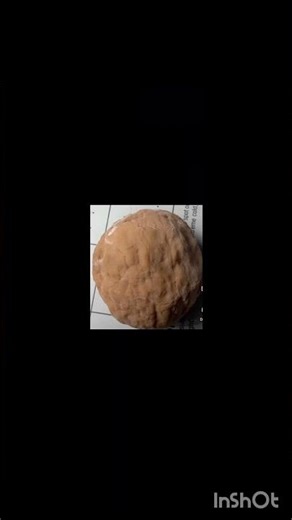 Super Squishy Walnut jump up down up down up down up down up down up down up down up down