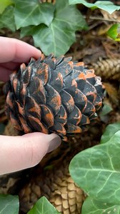 9.4K views · 145 reactions |  Would you believe us if we told you...