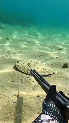 It's A Unique Fish ? I think! #fishing #sunfish #viralreels #viralvideo #shorts