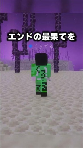 マイクラでエンドの最果てを目指した結果#shorts #マインクラフト #マイクラ