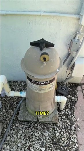 When should you clean your pool filter?