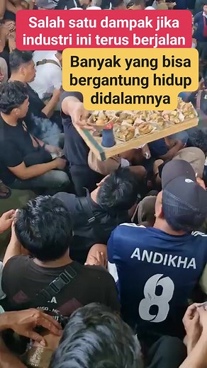 1.4M views · 5.2K reactions | Jika industri ini terus berjalan banyak dampak positif yang bisa diterima oleh masyarakat. Banyak yang bisa bergantung hidup didalamnya. #rells #fyp #tajen | Dbf Rooster | Facebook