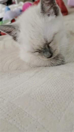 cuando este de mal humor se significa que tengo hambre 😂🤣