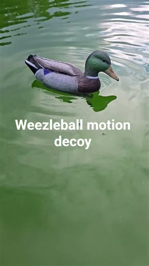homemade motion decoy #waterfowl #outdoors #diy