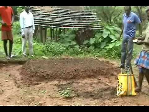 Tomato nursery bed preparation