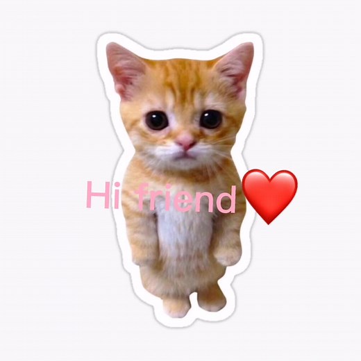 Pls keep it in #elgatocat #cat #fyp