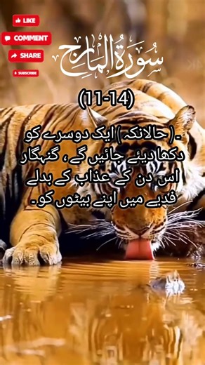 surah Al-ma'arijj (11-14) #shorts#quran