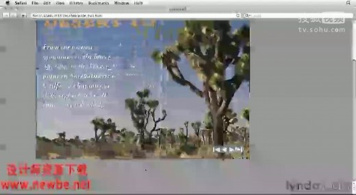 Adobe.InDesign.CS5交互式组件教程 (42)