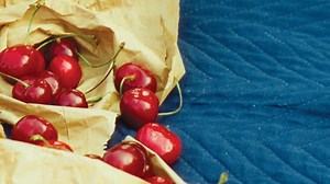 Nation of Language, 'Dance Called Memory' Album Review