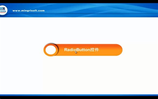 RadioButton控件