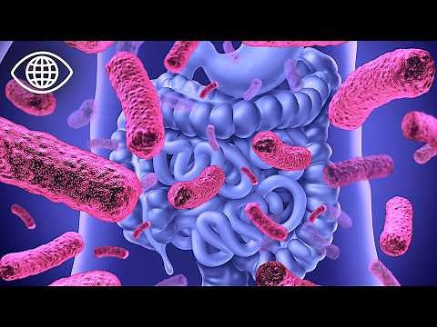 Microbiota: The Latest Medical Advances | Documentary - AT