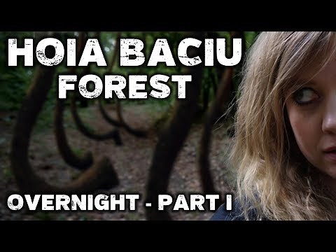 OVERNIGHT in World's Most HAUNTED FOREST | Hoia Baciu Forest Romania - Part 1