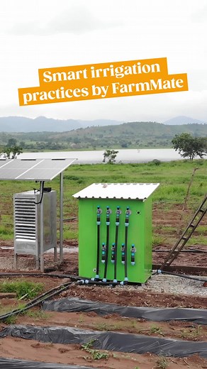 Irrigation stands as a cornerstone of modern agriculture, enabling farmers to produce consistent, high-quality yields even in challenging environmental conditions. Our cutting-edge Opti-DRIP irrigation system works like magic, nurturing our crops to their fullest potential. Its precise fertigation system ensures that each plant gets the ideal blend of water and nutrients, fostering healthy growth and bountiful yields. With the OptiDRIP, every crop receives the nuturing it needs, guaranteeing a t
