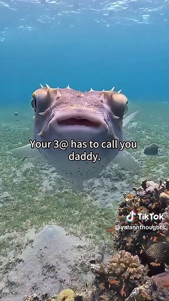 Meaningful Love Quotes to Express Your Feelings