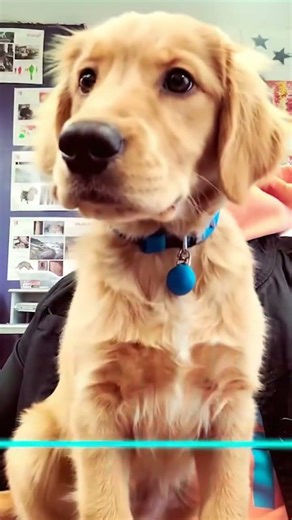 #memes ‪@timewarpscan-facescanner-cn8kz‬ ‪@Videoaduploadchanelfor862‬ Download now App Store