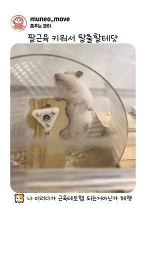 햄찌 행복회로가동중🤔