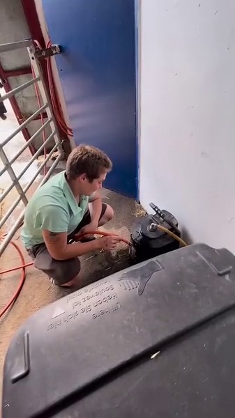 168K views · 86 reactions | 3 Reasons why you should clean your Haygain Hay Steamer... 識 No old hay left over 識 Smells much nicer 識 Clean and ready for the next batch of hay @kayleywoollacott #Haygain #equine #steamedhay #hg2000 | Haygain UK | Facebook