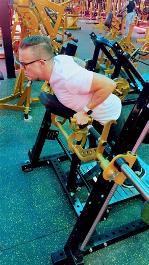 Supported Bent Over Row Machine