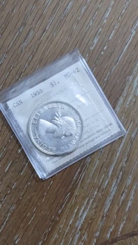 1966 Canada Uncirculated Silver Dollar - Rare Date Coin for Collectors and Numismatists - Etsy
